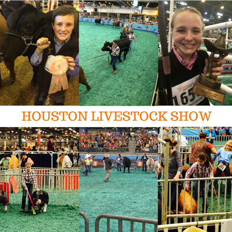 Houston Livestock Show Results Bosque
