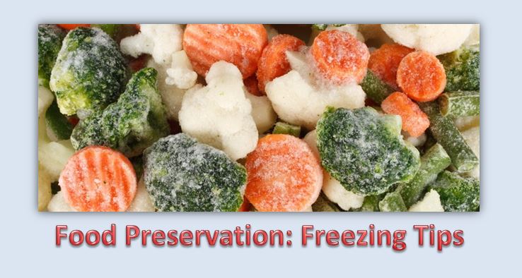 Freezing Food in Glass - Why We Love It, What You Can Freeze, & Tips – Biome