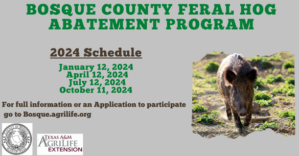 Bosque County Feral Hog Abatement Prorgram