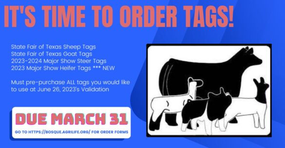 IT’s Time to Order Tags!